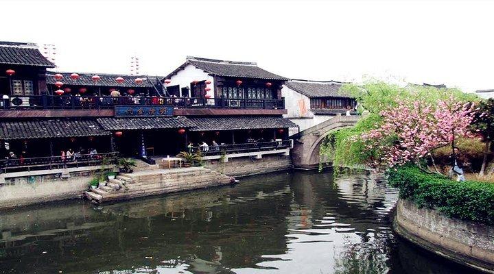 棉花花期能打虫螨腈吗?-专业百科知识信息网站